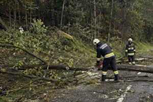 T1 – Baum blockierte Verbindungsstraße nach Ried