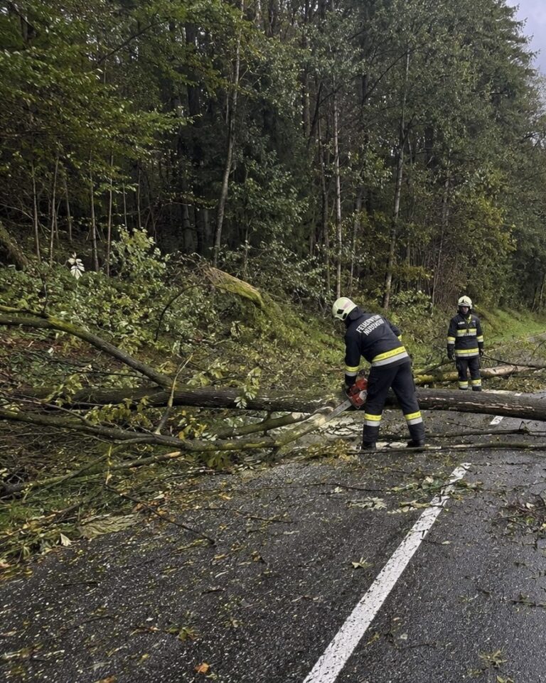 Mehr über den Artikel erfahren T1 – Baum blockierte Verbindungsstraße nach Ried